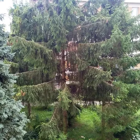 U Cioci Krakow